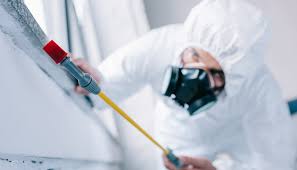 Best Pest Control for Multi-Family Homes  in Tucson Estates, AZ